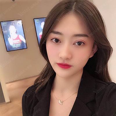超进化物语小y版最新版下载
